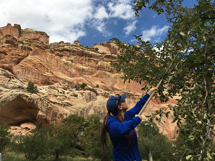 Capitol Reef National Park